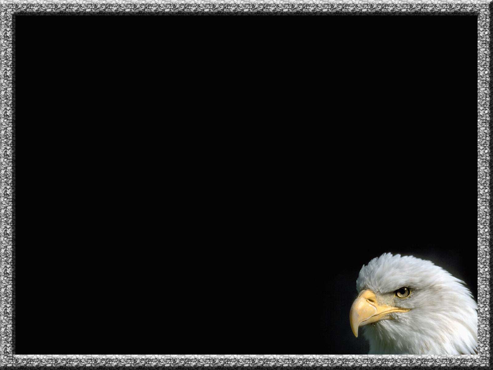 christian clip art eagle - photo #38