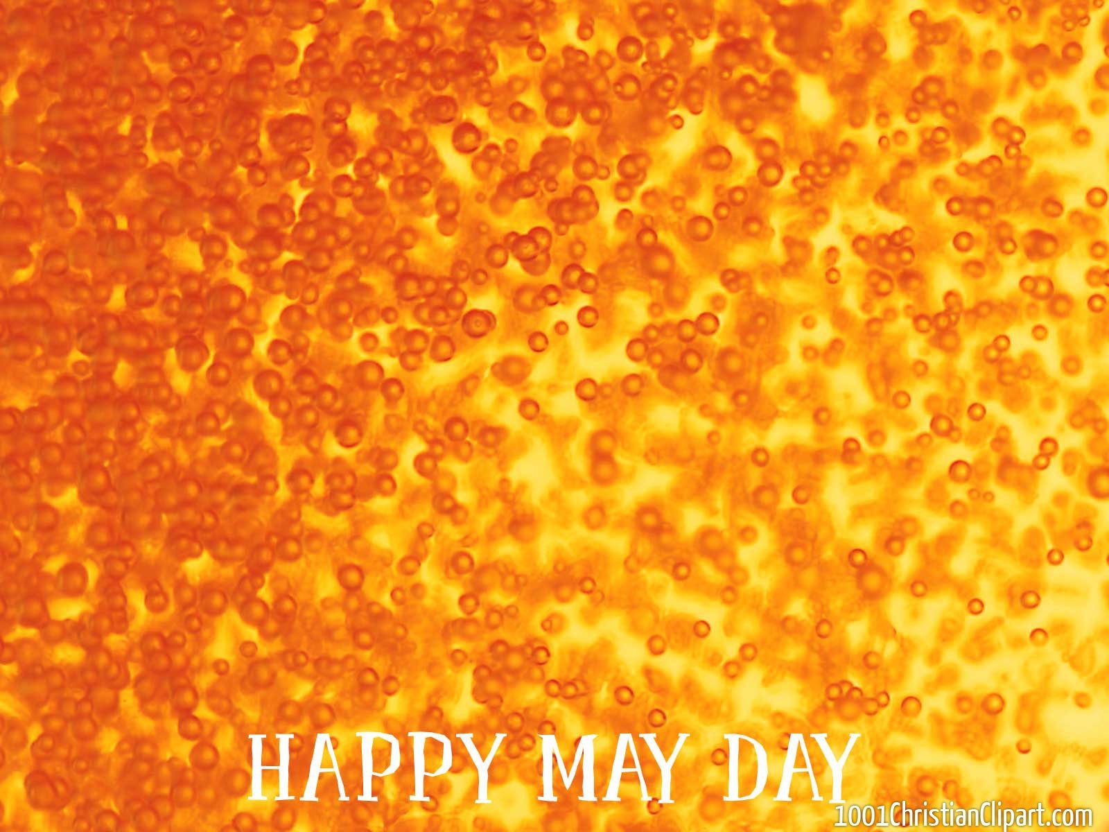 Permalink to May Day