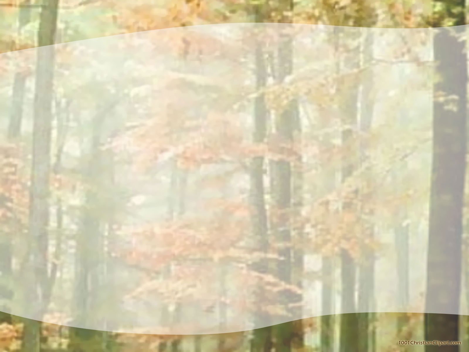 Permalink to Sakura Forest