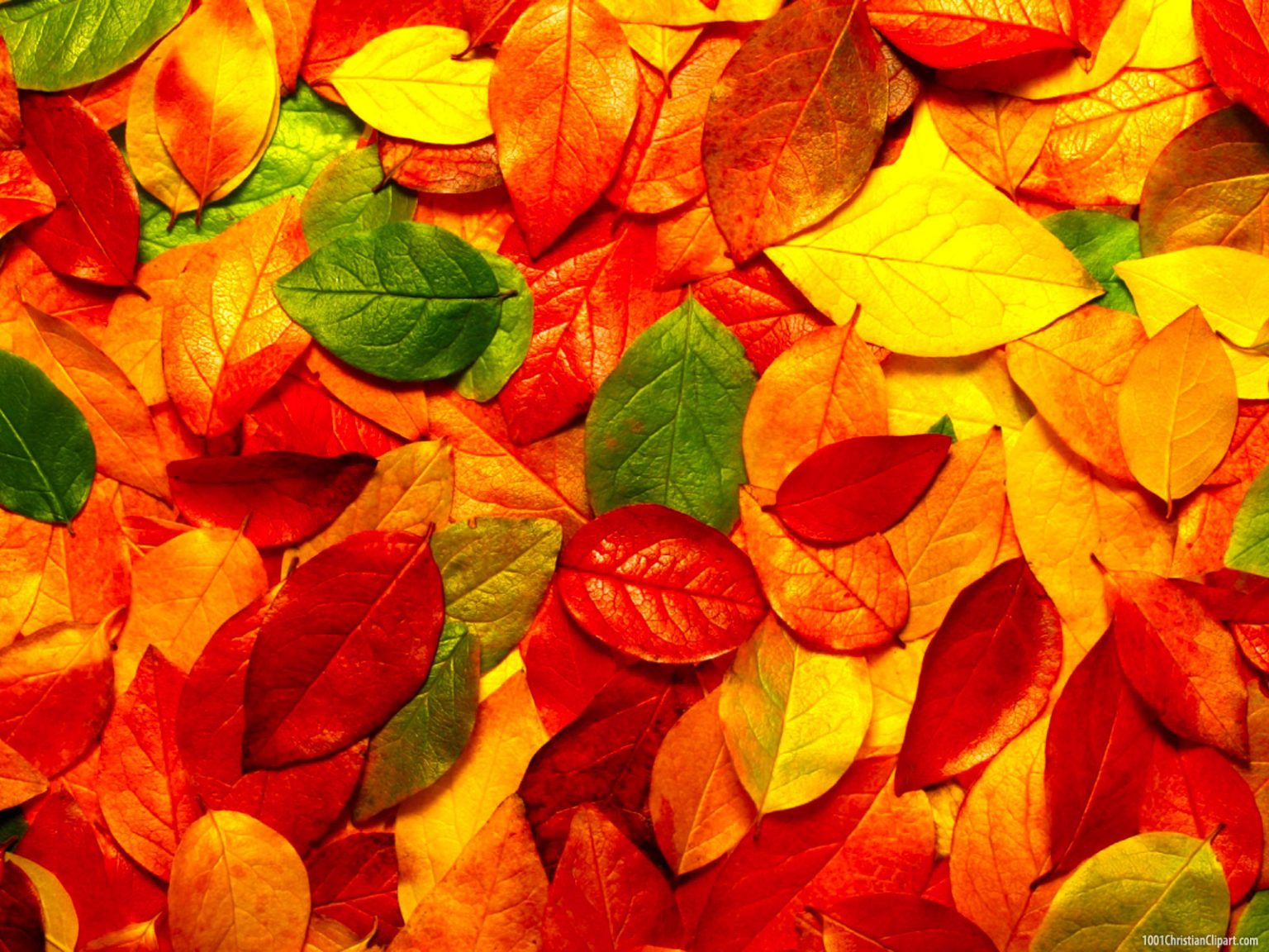 autumn-leaves-powerpoint-background-1001-christian-clipart
