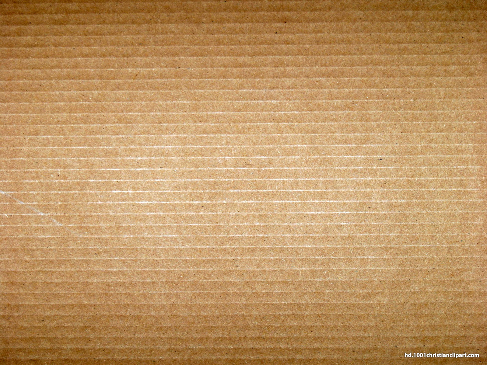 Corrugated Cardboard Background