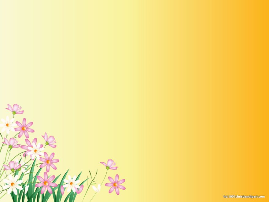 Flower Yellow Background